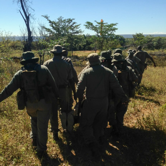 Empowering Rangers: Wilderness First Aid Training That Saves Lives